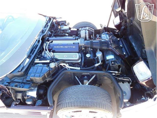 1993 Chevrolet Corvette (CC-2087994) for sale in Concord, North Carolina