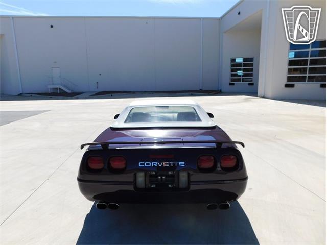 1993 Chevrolet Corvette (CC-2087994) for sale in Concord, North Carolina