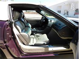 1993 Chevrolet Corvette (CC-2087994) for sale in Concord, North Carolina