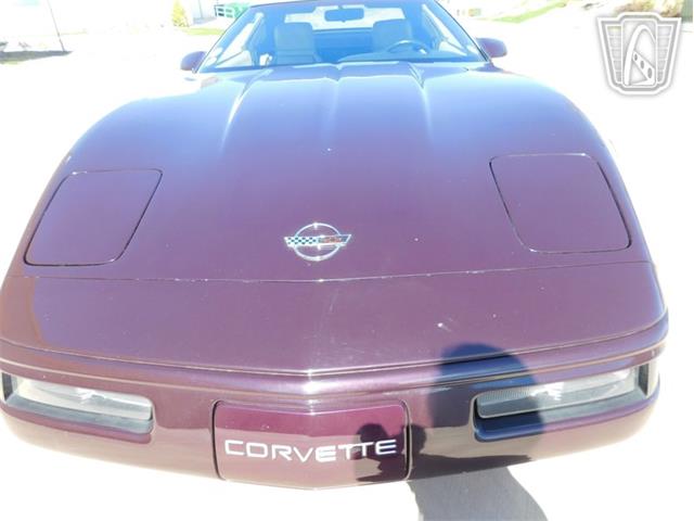 1993 Chevrolet Corvette (CC-2087994) for sale in Concord, North Carolina