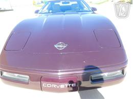 1993 Chevrolet Corvette (CC-2087994) for sale in Concord, North Carolina