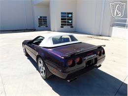 1993 Chevrolet Corvette (CC-2087994) for sale in Concord, North Carolina