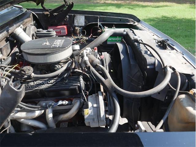 1983 Dodge Ramcharger (CC-2087996) for sale in Palmetto, Florida