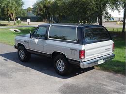 1983 Dodge Ramcharger (CC-2087996) for sale in Palmetto, Florida