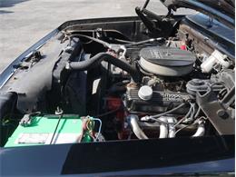 1983 Dodge Ramcharger (CC-2087996) for sale in Palmetto, Florida
