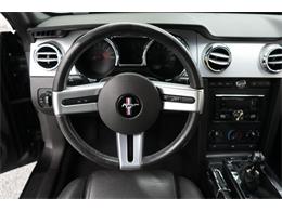 2008 Ford Mustang GT (CC-2088005) for sale in Homer City, Pennsylvania