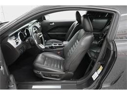 2008 Ford Mustang GT (CC-2088005) for sale in Homer City, Pennsylvania