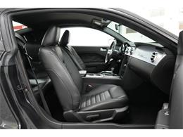 2008 Ford Mustang GT (CC-2088005) for sale in Homer City, Pennsylvania