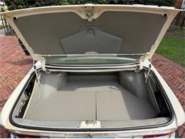 1974 BMW 630csi (CC-2088075) for sale in Jacksonville, Florida