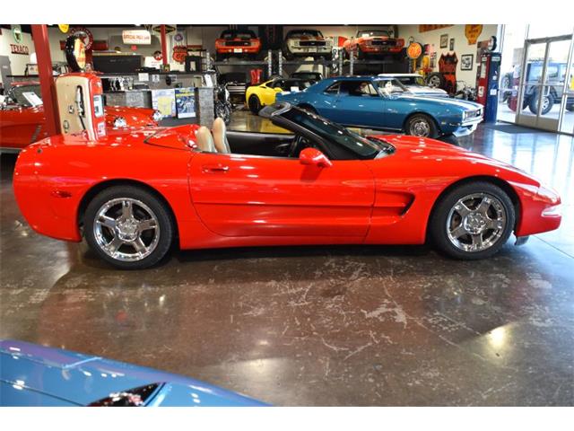 1998 Chevrolet Corvette (CC-2088108) for sale in Payson, Arizona