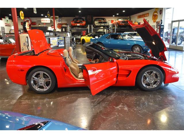 1998 Chevrolet Corvette (CC-2088108) for sale in Payson, Arizona