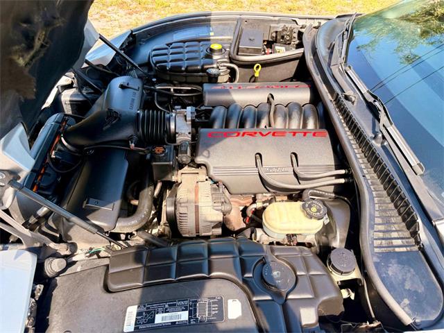 1998 Chevrolet Corvette (CC-2080813) for sale in Pompano Beach, Florida