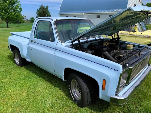 1979 Chevrolet C10 (CC-2088161) for sale in Sioux Falls, South Dakota