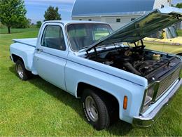 1979 Chevrolet C10 (CC-2088161) for sale in Sioux Falls, South Dakota