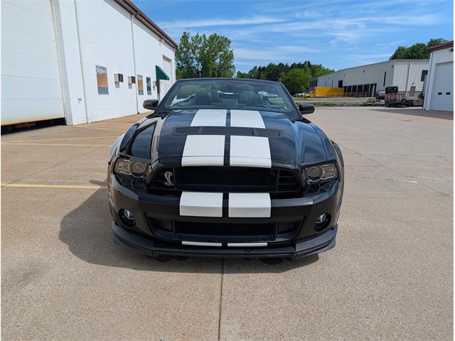 2014 Shelby GT500 (CC-2080822) for sale in SPRING LAKE, Michigan