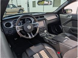 2014 Shelby GT500 (CC-2080822) for sale in SPRING LAKE, Michigan