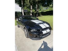 2014 Shelby GT500 (CC-2080822) for sale in SPRING LAKE, Michigan