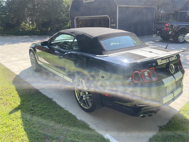 2014 Shelby GT500 (CC-2080822) for sale in SPRING LAKE, Michigan