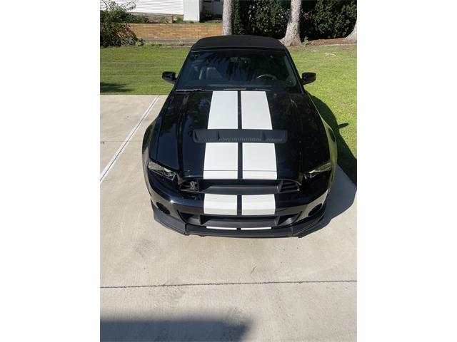 2014 Shelby GT500 (CC-2080822) for sale in SPRING LAKE, Michigan