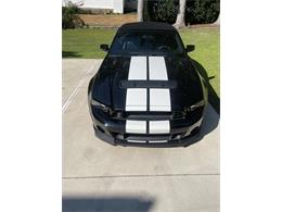 2014 Shelby GT500 (CC-2080822) for sale in SPRING LAKE, Michigan