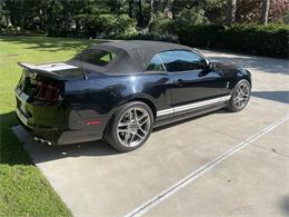 2014 Shelby GT500 (CC-2080822) for sale in SPRING LAKE, Michigan
