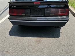 1986 Plymouth Conquest (CC-2088243) for sale in Greensboro, North Carolina