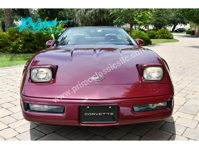 1993 Chevrolet Corvette (CC-2088350) for sale in Lakeland, Florida