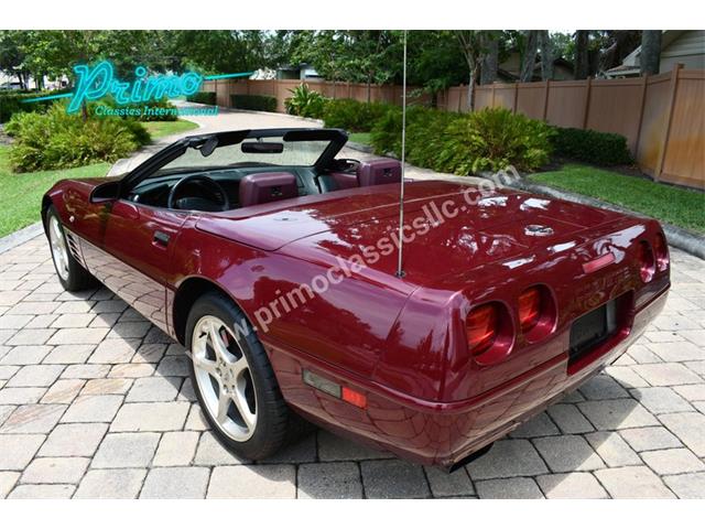 1993 Chevrolet Corvette (CC-2088350) for sale in Lakeland, Florida