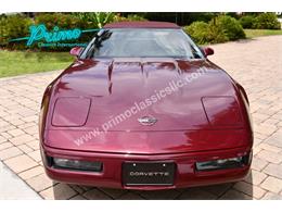 1993 Chevrolet Corvette (CC-2088350) for sale in Lakeland, Florida
