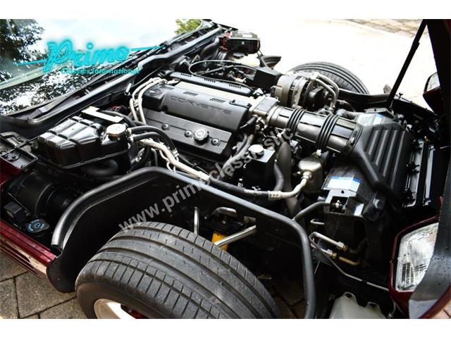 1993 Chevrolet Corvette (CC-2088350) for sale in Lakeland, Florida