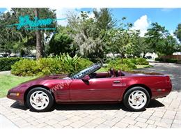 1993 Chevrolet Corvette (CC-2088350) for sale in Lakeland, Florida
