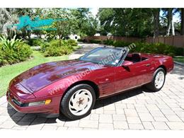 1993 Chevrolet Corvette (CC-2088350) for sale in Lakeland, Florida