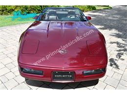 1993 Chevrolet Corvette (CC-2088350) for sale in Lakeland, Florida