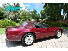 1993 Chevrolet Corvette (CC-2088350) for sale in Lakeland, Florida