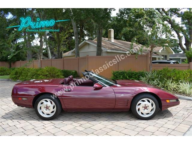 1993 Chevrolet Corvette (CC-2088350) for sale in Lakeland, Florida