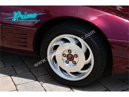 1993 Chevrolet Corvette (CC-2088350) for sale in Lakeland, Florida
