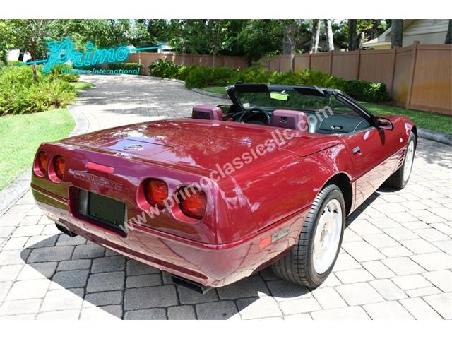 1993 Chevrolet Corvette (CC-2088350) for sale in Lakeland, Florida