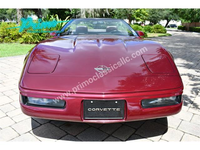 1993 Chevrolet Corvette (CC-2088350) for sale in Lakeland, Florida