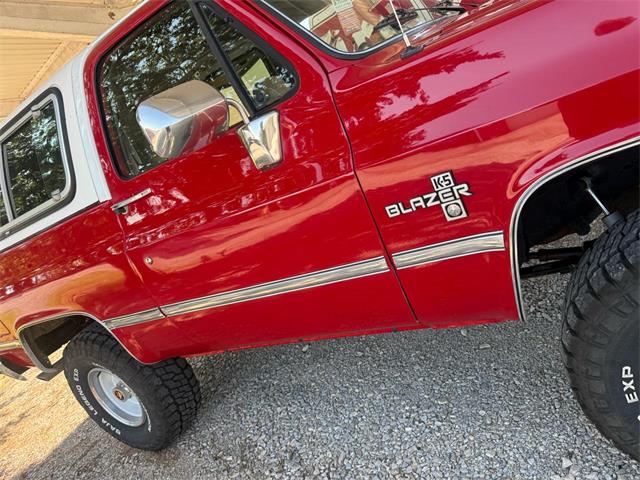 1989 Chevrolet Blazer (CC-2088422) for sale in Wilson, Oklahoma