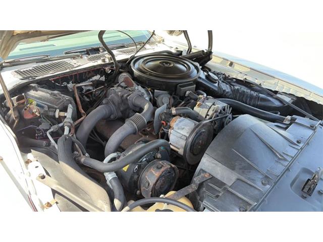 1980 Pontiac Firebird Trans Am (CC-2088446) for sale in Spring Branch, Texas