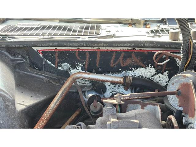 1980 Pontiac Firebird Trans Am (CC-2088446) for sale in Spring Branch, Texas