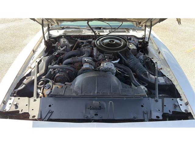 1980 Pontiac Firebird Trans Am (CC-2088446) for sale in Spring Branch, Texas