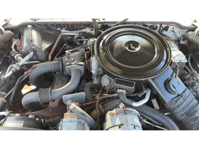 1980 Pontiac Firebird Trans Am (CC-2088446) for sale in Spring Branch, Texas