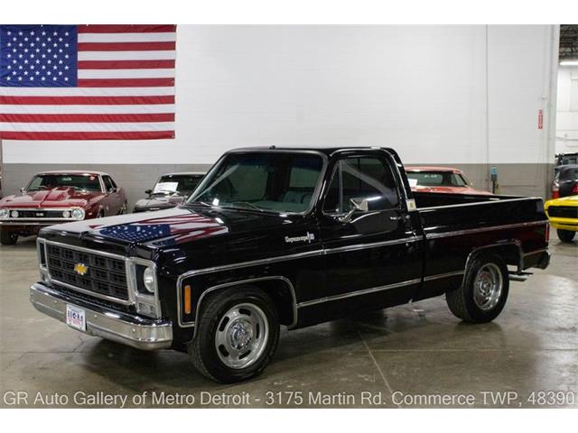 1979 Chevrolet C10 (CC-2088539) for sale in Kentwood, Michigan