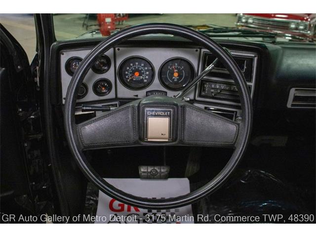 1979 Chevrolet C10 (CC-2088539) for sale in Kentwood, Michigan