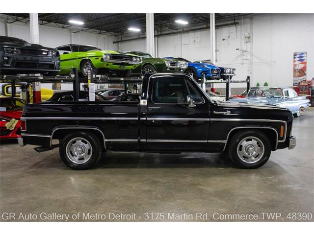 1979 Chevrolet C10 (CC-2088539) for sale in Kentwood, Michigan