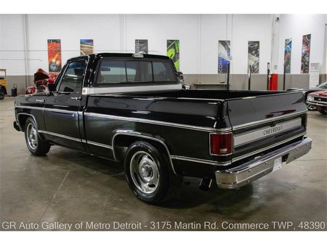 1979 Chevrolet C10 (CC-2088539) for sale in Kentwood, Michigan