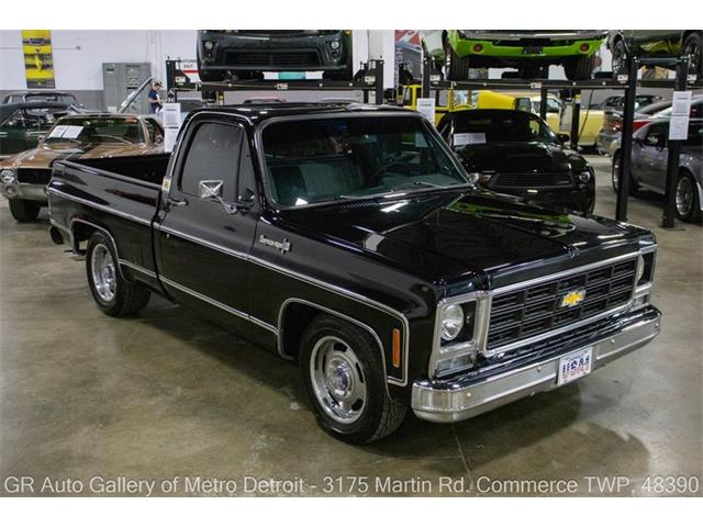 1979 Chevrolet C10 (CC-2088539) for sale in Kentwood, Michigan