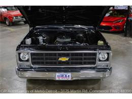 1979 Chevrolet C10 (CC-2088539) for sale in Kentwood, Michigan