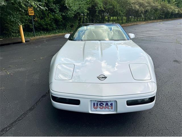 1995 Chevrolet Corvette (CC-2088564) for sale in Greensboro, North Carolina